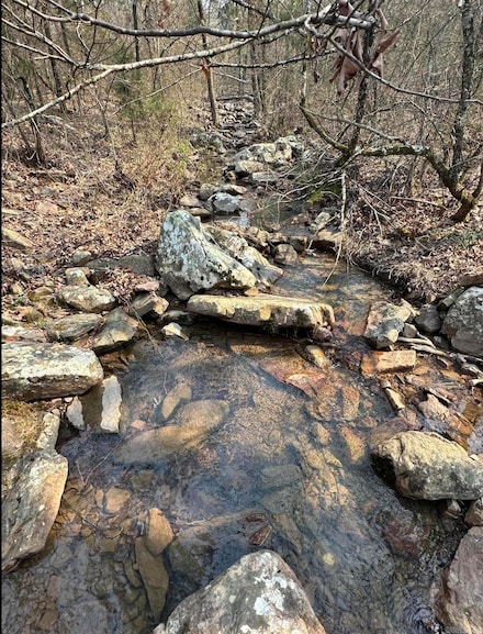 0 Cold Springs Rd Unit 25014291, Waldron, AR 72858