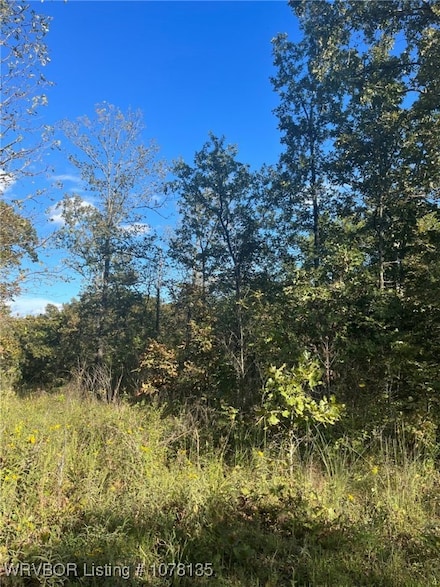 TBD Vian Creek Rd, Vian, OK 73170