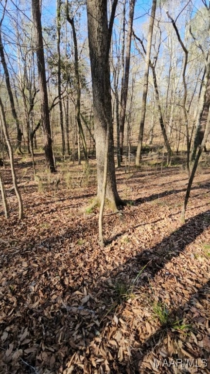 730 Fairliewood Dr, Wetumpka, AL 36093