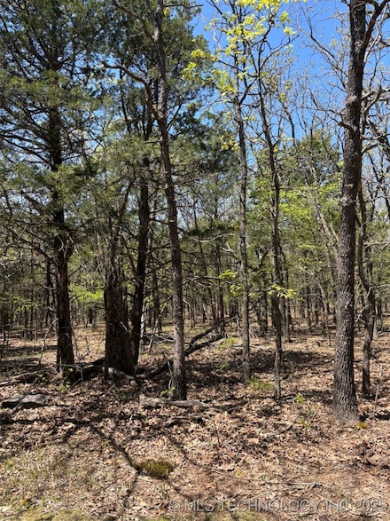 0 N Coyote Rd, McAlester, OK 74570