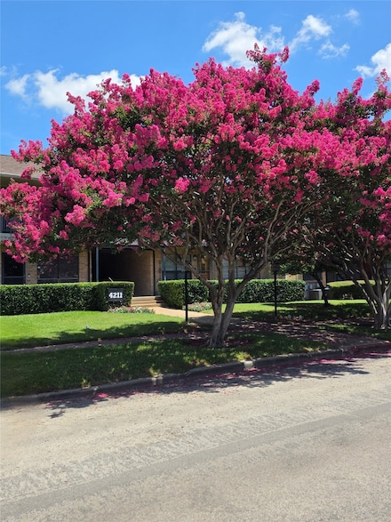 4211 Newton Ave Unit 107, Dallas, TX 75219