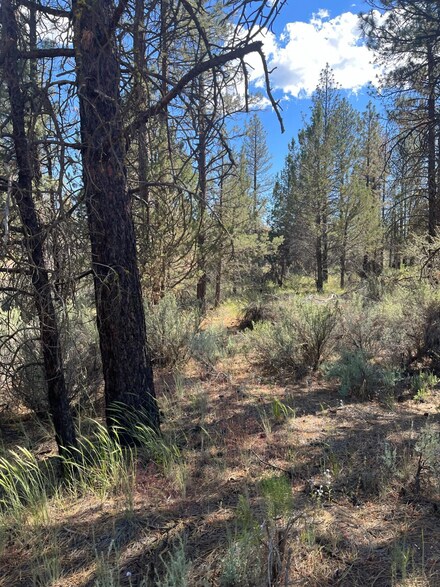 0 Tepee Ln, Sprague River, OR 97639