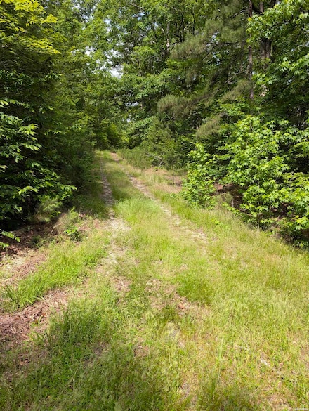 TBD Pedante Ln, Hot Springs Village, AR 71909