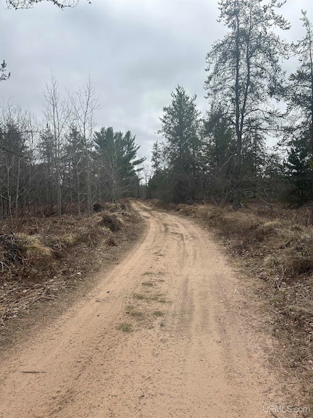 Parcel 2 Off Johnson Lake Rd, Gwinn, MI 49841