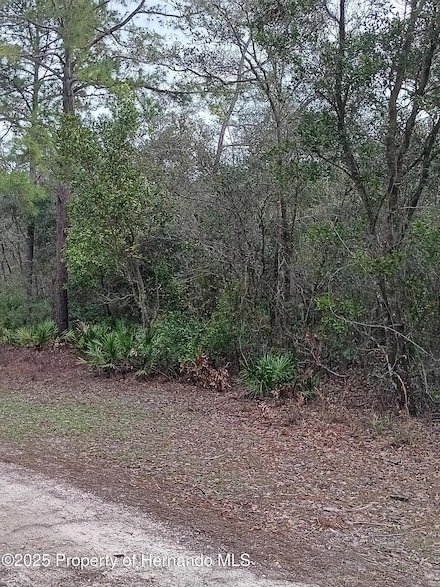 0 Colonel Ave Unit 2251556, Webster, FL 33597
