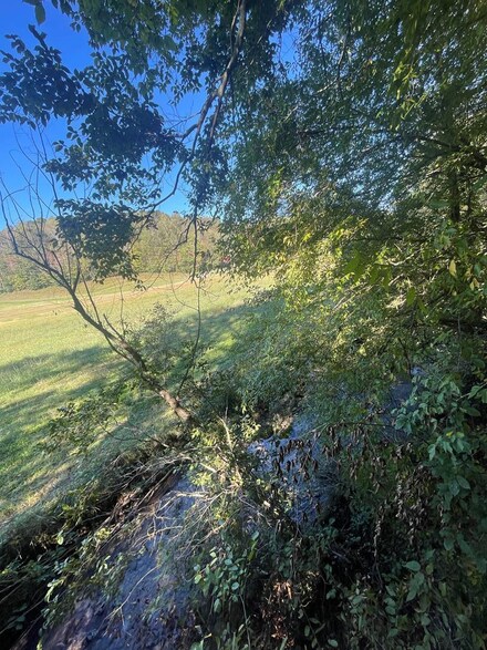 494 Mccollum Rd, Ellijay, GA 30540