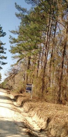 Tract 1 Baker Hill Rd, Mt. Pleasant, GA 31543
