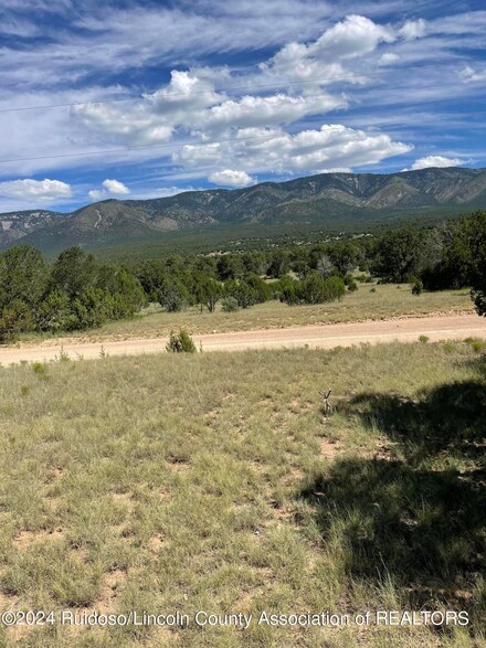 Tract 2 Salazar Canyon Rd, Capitan, NM 88316