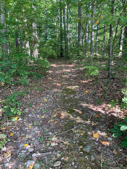 000 Glendale Rd, Bybee, TN 37713