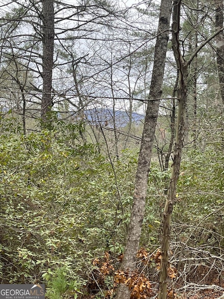 0 Hidden Falls Dr Unit LOT 6 10428278, Tiger, GA 30576