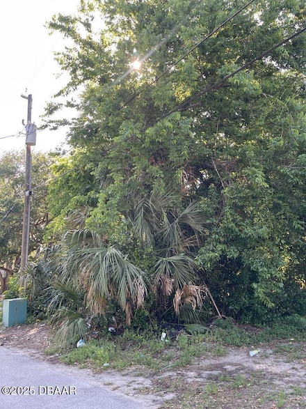 248 Washington Place, Ormond Beach, FL 32174