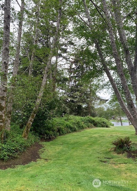 24007 Elm Place, Ocean Park, WA 98640