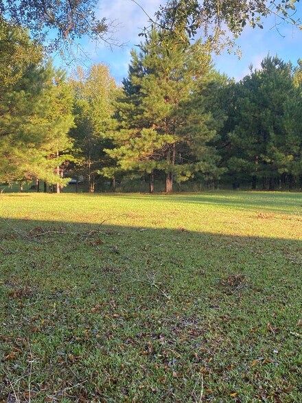 4959 Rollinson Rd, Smithdale, MS 39664