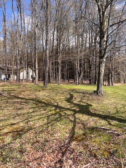 3284 Walden Oaks Blvd, Munsons Corners, NY 13045