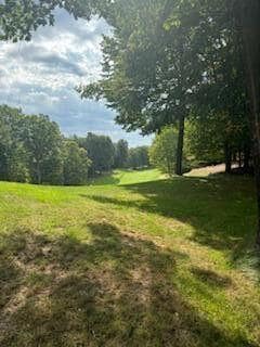 9656 N Calgary Dr, Canadian Lakes, MI 49346