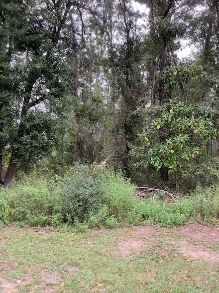 TBD SW Summerset Way, Madison, FL 32340