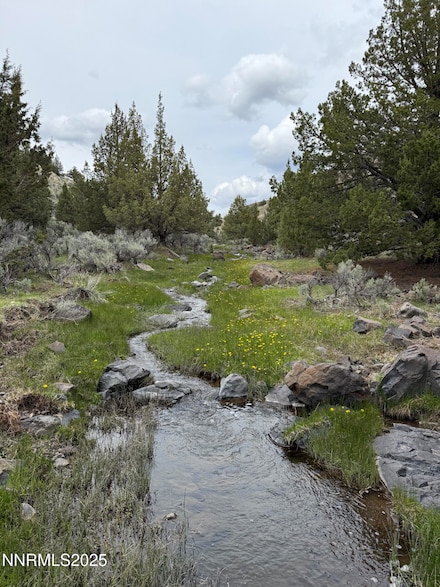 06617024 Wall Canyon Reservoir Rd, Wadsworth, NV 89442