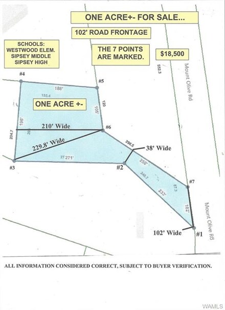 00 Mount Olive Rd, Coker, AL 35452