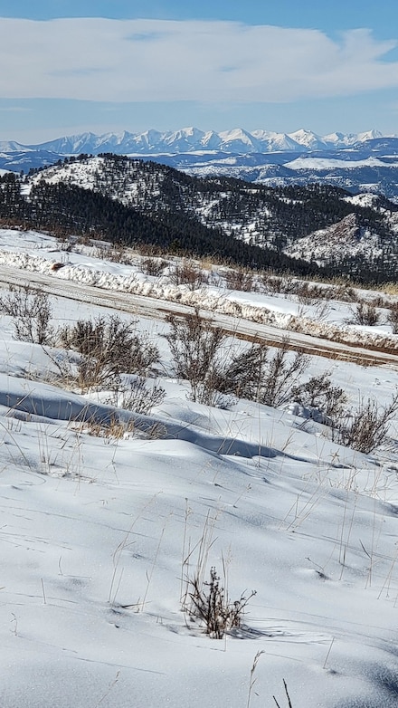 331 Troy Way, Cripple Creek, CO 80813