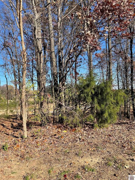 Lot L-82 Forest Ridge Dr, Paducah, KY 42003