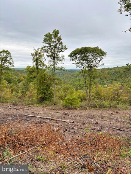 31-36 Beech Creek Mountain Rd, Beech Creek Township, PA 16822