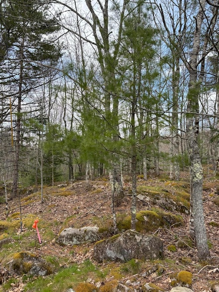 Lot 9 Aspen Dr, South Thomaston, ME 04858