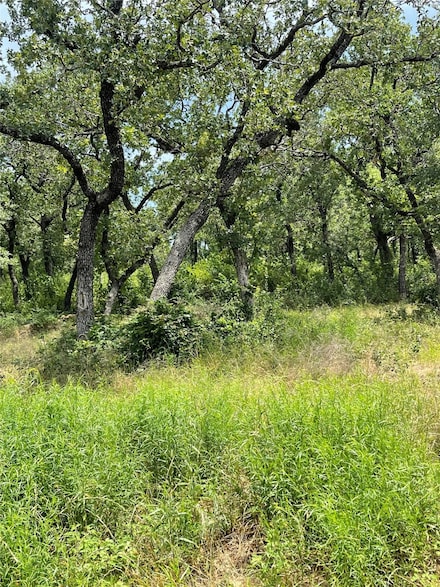 TBD Farm To Market 1658, Lake Bridgeport, TX 76426