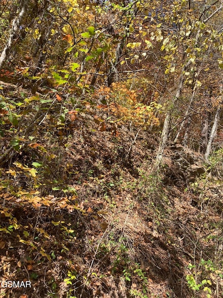 Lot 2 Meadow View Rd, Sevierville, TN 37862