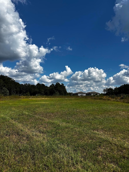 18065 Grayburg Rd, Sour Lake, TX 77659