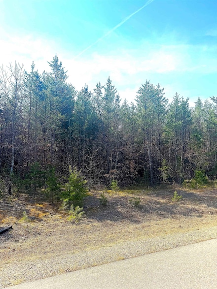 Lot 29 Red Tail Hawk Dr Unit Lot 29 Snowy Owl Roa, Stevens Point, WI 54482
