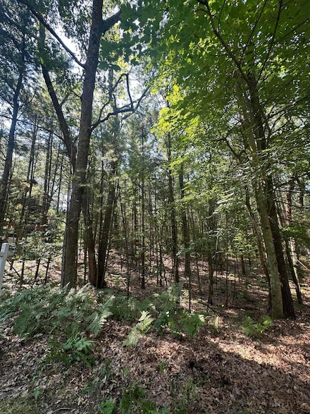 0 Crow Ln Unit 105 24038786, Pentwater Township, MI 49449