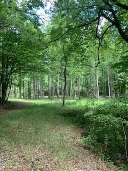 0 Craigtown Rd Unit 7409687, Ellijay, GA 30540