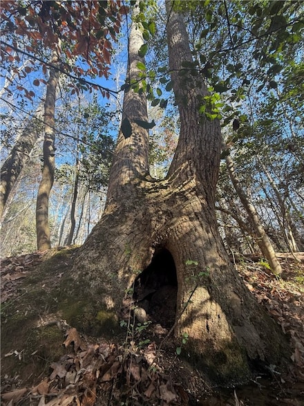 110 Watt Rogers Rd, Pelzer, SC 29669