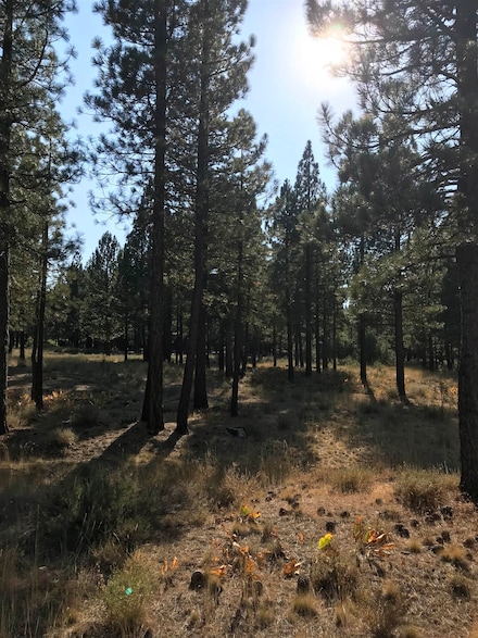 104 Village Trail Unit Altobelli Lot 034 Na, Portola, CA 96122