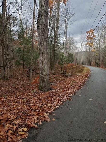 00 Brandy Brook Rd, Napanoch, NY 12458
