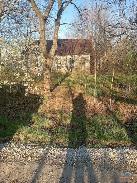 301 W Chestnut St, Chilhowee, MO 64733