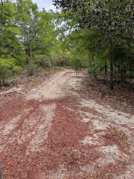 XX Kaycee Jean Rd, Defuniak Springs, FL 32433