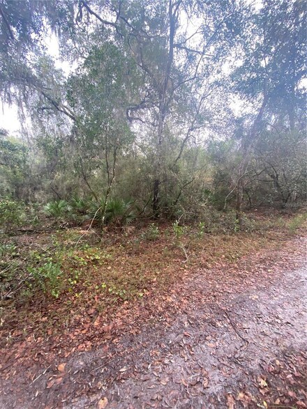 4225 S Tamarak Point, Inverness, FL 34450