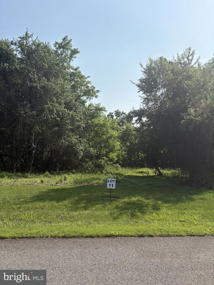 11 Wilson Point Rd, Galena, MD 21635