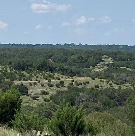 564 Cherry Springs Rd, Hunt, TX 78024