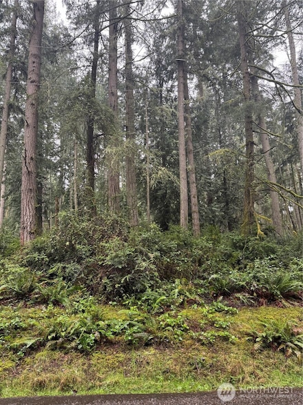 12708 Lovass Rd, Anderson Island, WA 98303