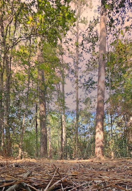 002 Gregory Ln, New Waverly, TX 77358