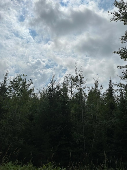 ON Cth Y Unit Lot 11, Tomahawk, WI 54487
