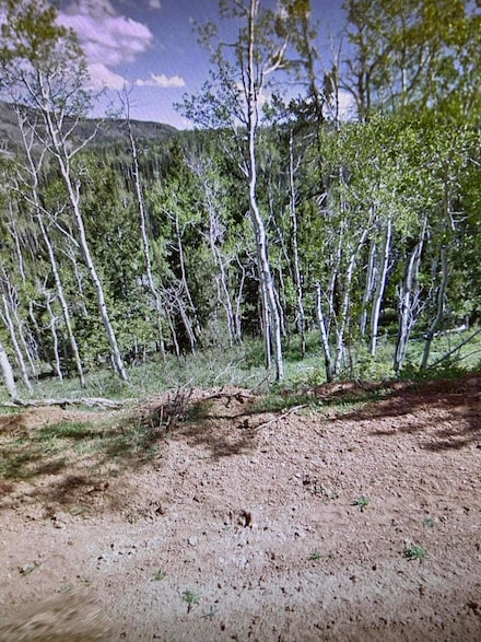 524 W Ski View Dr, Brian Head, UT 84719