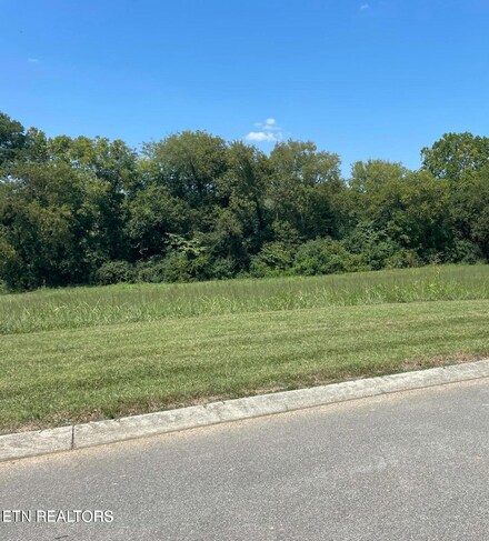 130 Old Hickory Cir, Madisonville, TN 37354