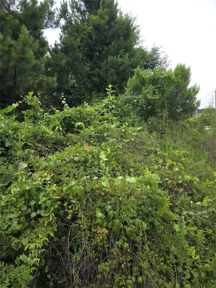 306 County Road-5102l, Cleveland, TX 77327