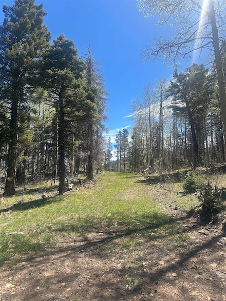 Lot 86 Elk Horn, Angel Fire, NM 87710
