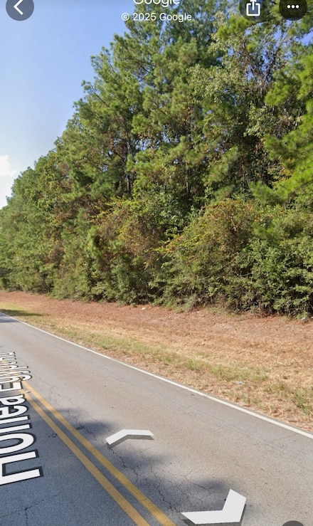 1411 Honea Egypt Rd, Magnolia, TX 77354