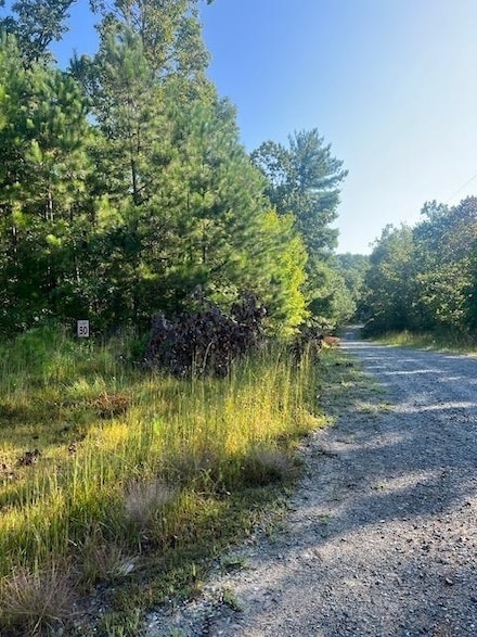 LT 50 White Pine Ridge, Ellijay, GA 30540