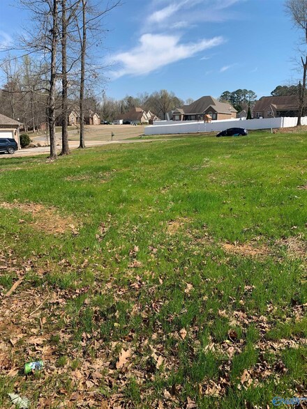 8 Kennedy Cir, Scottsboro, AL 35768